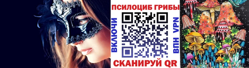 darknet телеграм  Видное  Галлюциногенные грибы GOLDEN TEACHER  blacksprut  