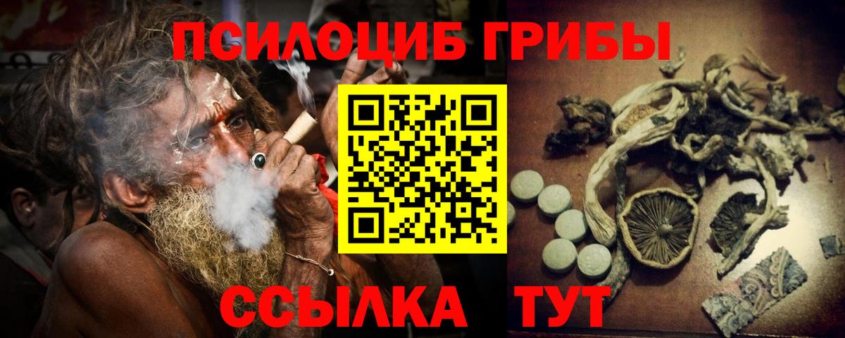 Видное  Галлюциногенные грибы ЛСД  Вход с VPN 