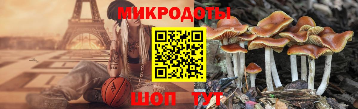 Галлюциногенные грибы ЛСД Видное